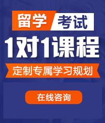 美女视频透逼后入内射留学考试一对一精品课